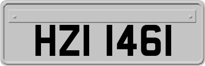 HZI1461
