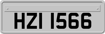 HZI1566
