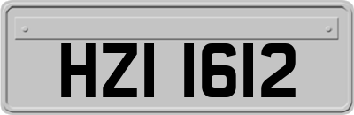 HZI1612