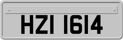 HZI1614