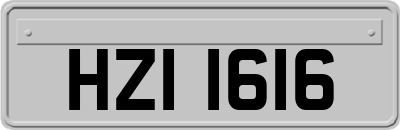 HZI1616
