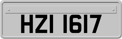 HZI1617