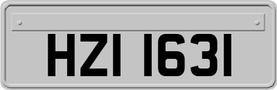HZI1631