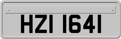 HZI1641
