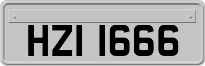 HZI1666