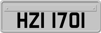 HZI1701