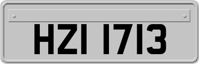 HZI1713