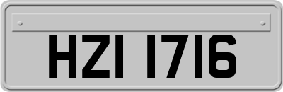 HZI1716