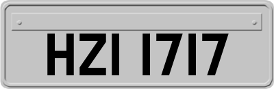 HZI1717