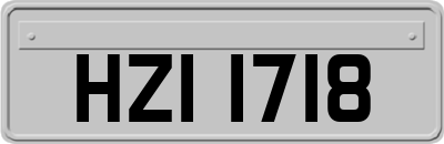 HZI1718