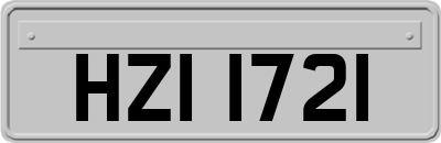 HZI1721