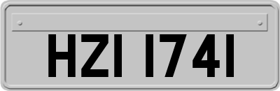 HZI1741