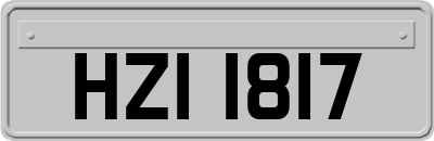 HZI1817