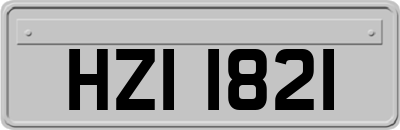 HZI1821