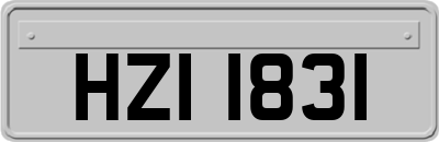 HZI1831