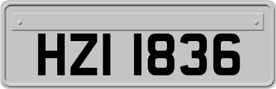 HZI1836