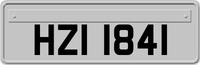 HZI1841