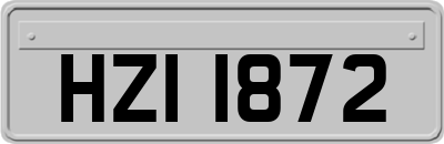 HZI1872
