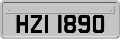 HZI1890
