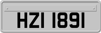 HZI1891