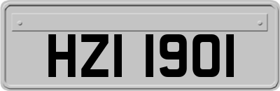 HZI1901