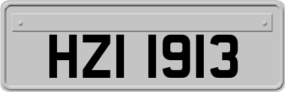 HZI1913
