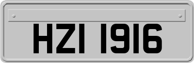 HZI1916