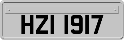 HZI1917