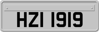 HZI1919