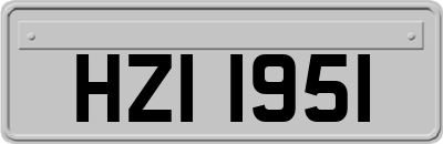 HZI1951