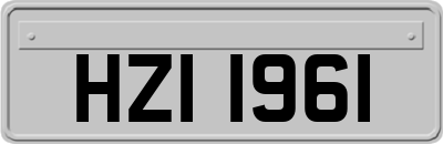 HZI1961