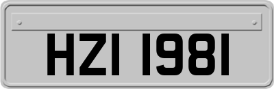 HZI1981