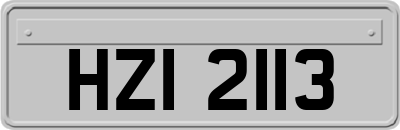 HZI2113