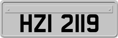 HZI2119