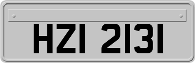 HZI2131