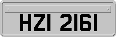 HZI2161