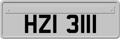 HZI3111