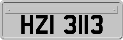 HZI3113