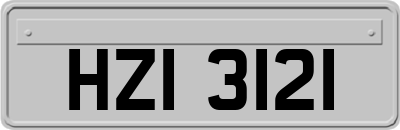 HZI3121