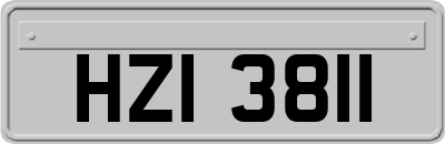 HZI3811