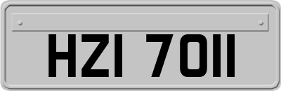 HZI7011