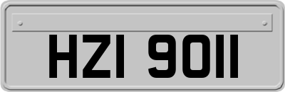HZI9011