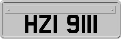 HZI9111