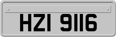 HZI9116
