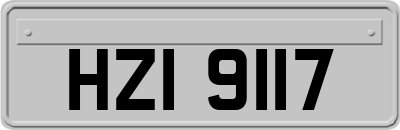 HZI9117