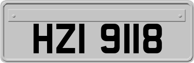 HZI9118