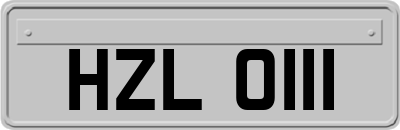 HZL0111