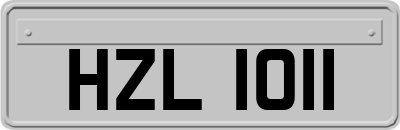 HZL1011