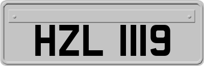 HZL1119