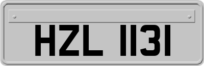 HZL1131